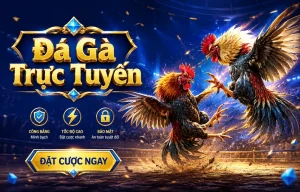 Giao diện sảnh đá gà buyh2oe3